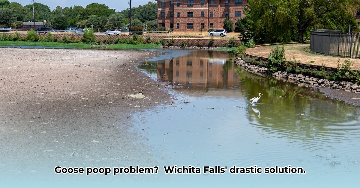 sikes-lake-wichita-falls-tx